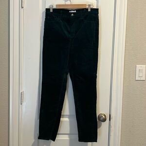 Loft velvet skinny jeans.
